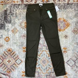 Lakeview Denim Alex high rise skinny jean